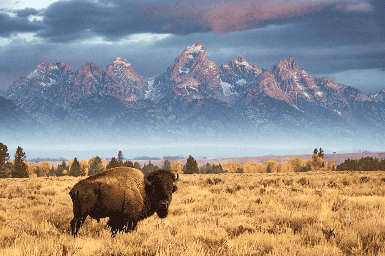 How the National Park Reservation System Works